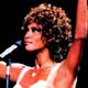 Whitney 1998